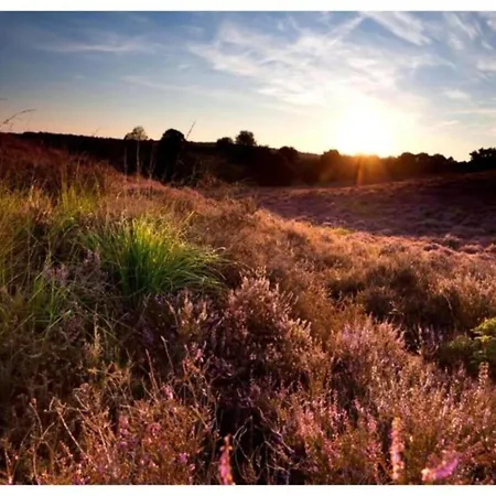 Beautiful Near Forest Vakantiehuis Voorthuizen