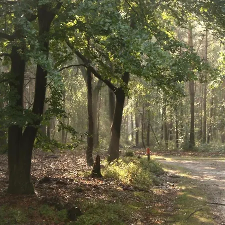 Tatil Evi In Veluwe Peaceful Retreat Voorthuizen