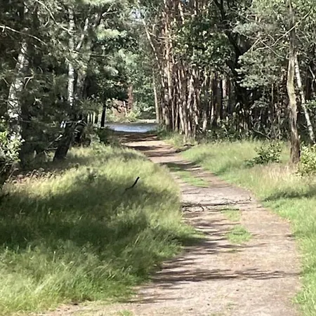 In Veluwe Peaceful Retreat